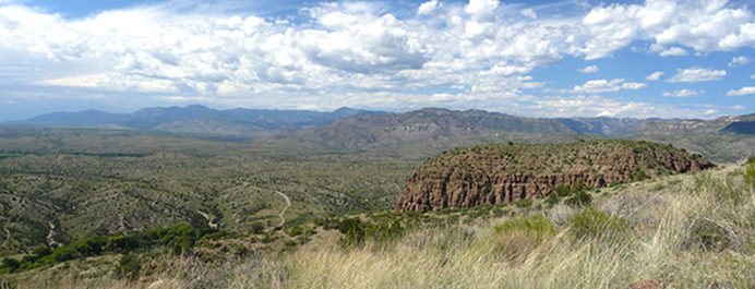 view from paradise overlook trail