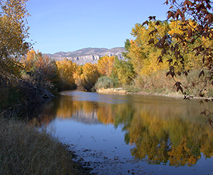 fall color on the Gila River